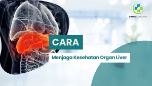 Menajaga Kesehatan Liver