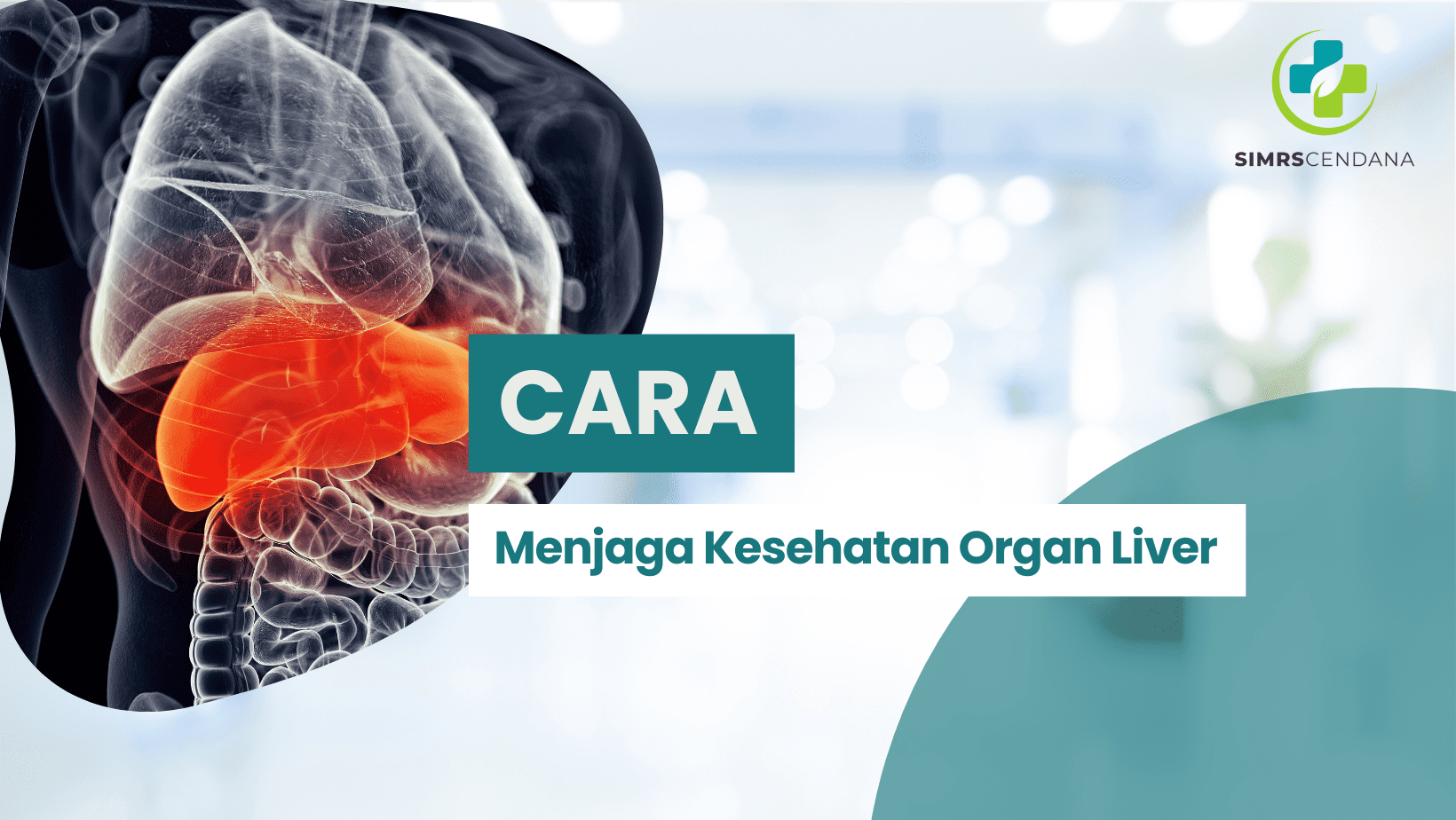 Cara Menjaga Kesehatan Organ Liver