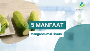 manfaat timun