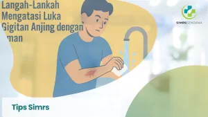 cara Mengatasi Luka Gigitan Anjing dengan membersihkan luka dan memberikan antiseptik