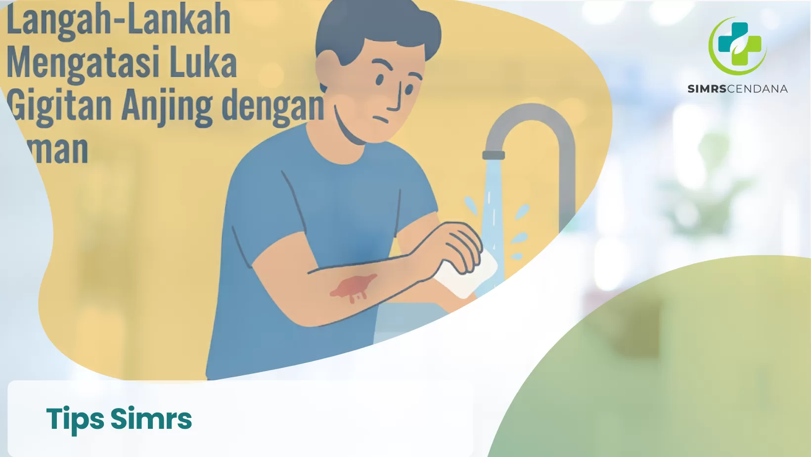 Langkah-Langkah Mengatasi Luka Gigitan Anjing dengan Aman