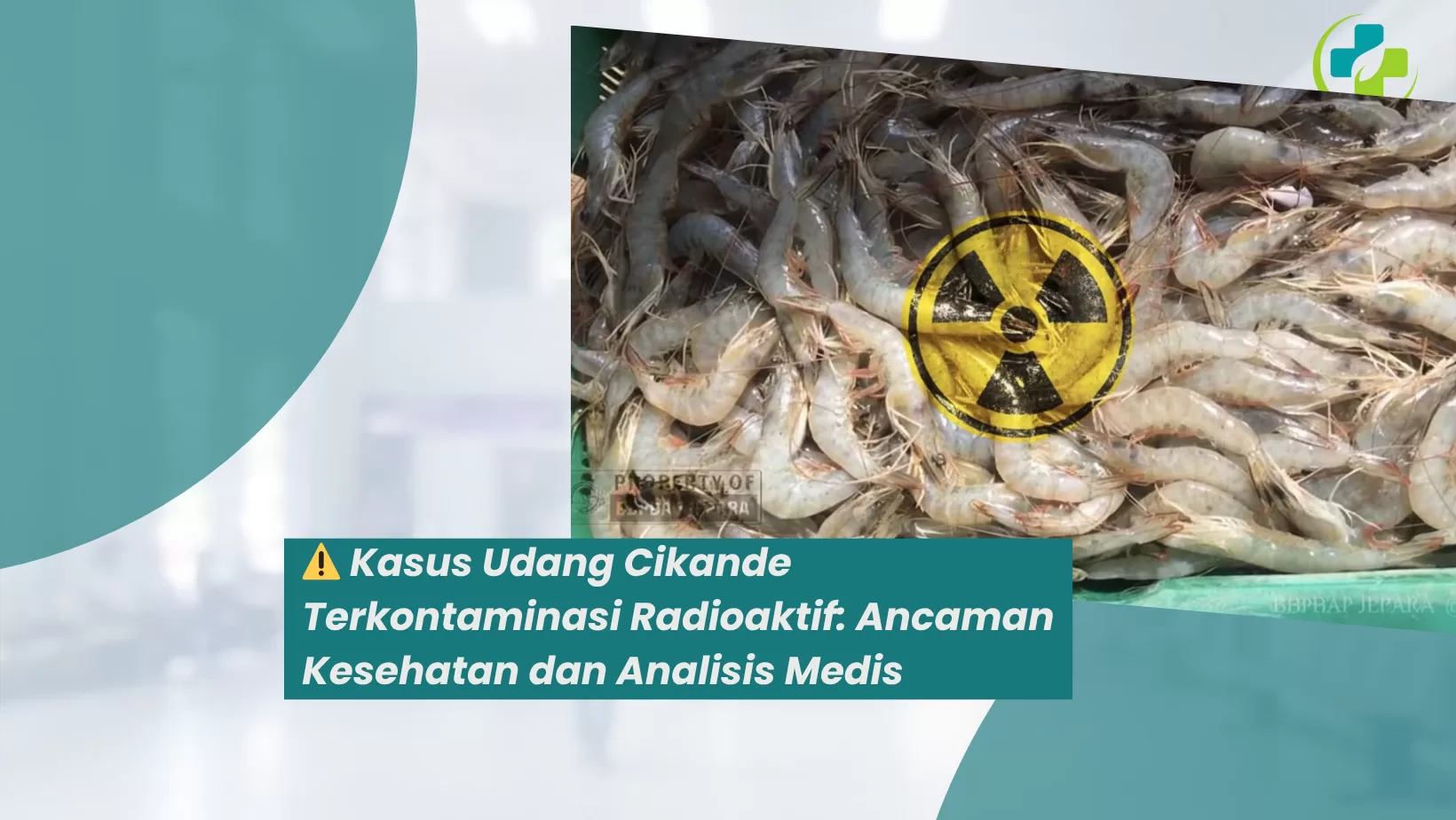 Kasus Udang Cikande Terkontaminasi Radioaktif: Ancaman Kesehatan dan Analisis Medis