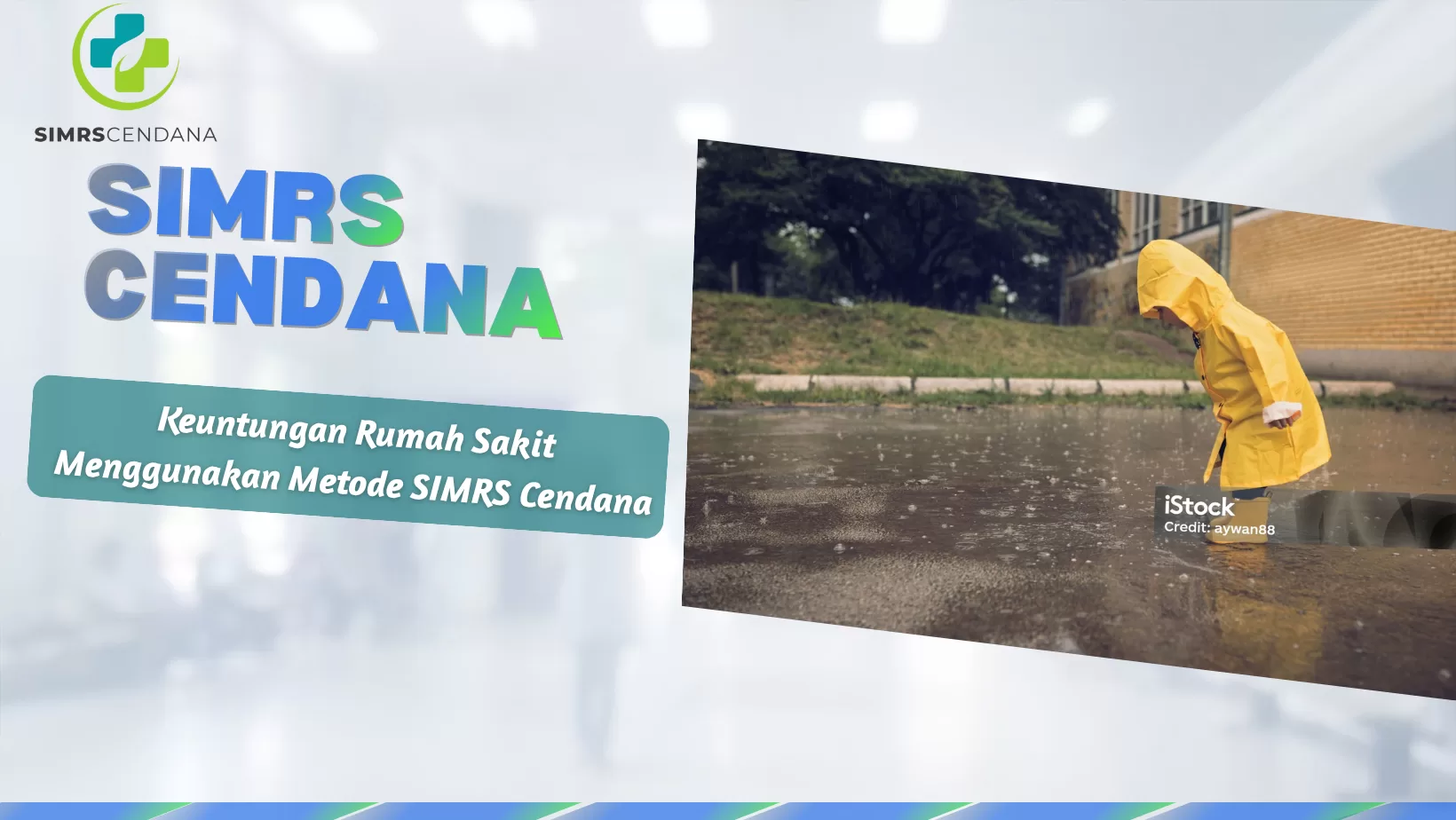 Maraknya demam berdarah selama musim hujan dan bagaimana cara pencegahannya.