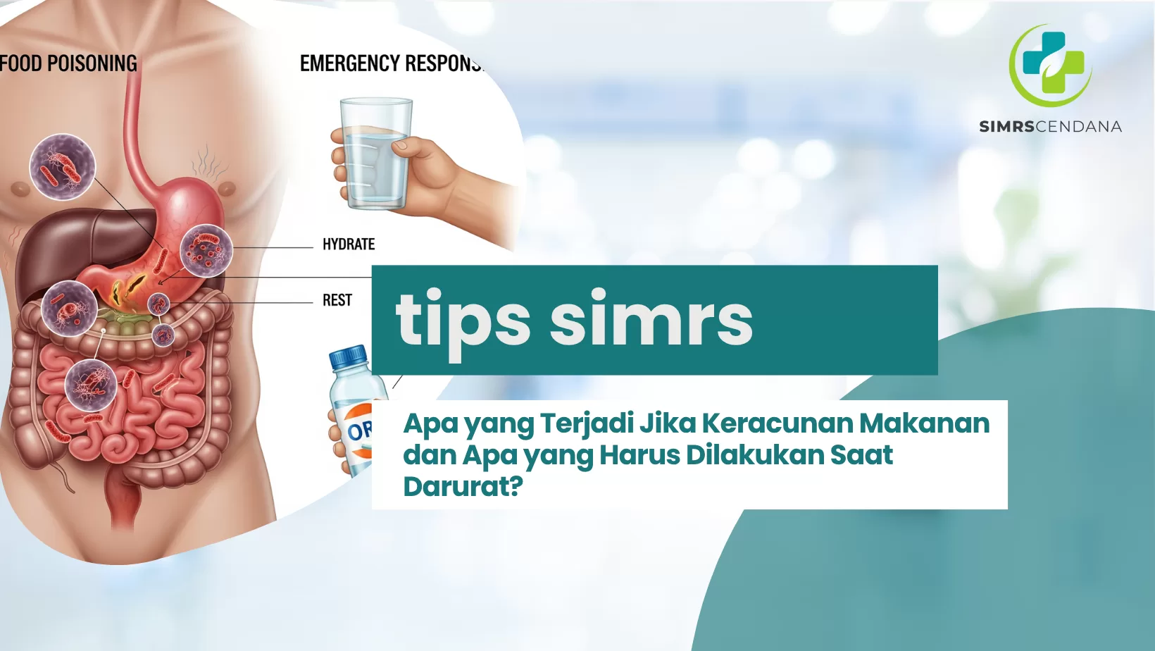 Apa yang Terjadi Jika Keracunan Makanan dan Apa yang Harus Dilakukan Saat Darurat